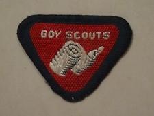 Boy Scouts Wolf Cub
