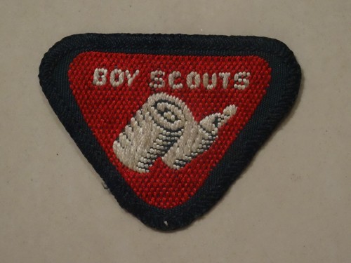 Boy scouts wolf - scouts,