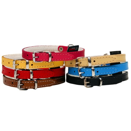 Dog puppy real leather - puppy, collar