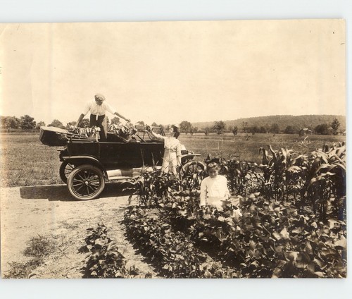 Vintage 1910s garden clubs - vintage,