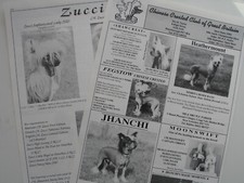 CHINESE CRESTED TOY DOG KENNEL CLIPPINGS 1990s - 2010s x 40