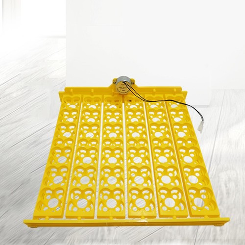 Eggs incubator automatic - eggs,