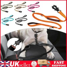 Versatile Bungee Dog Leash