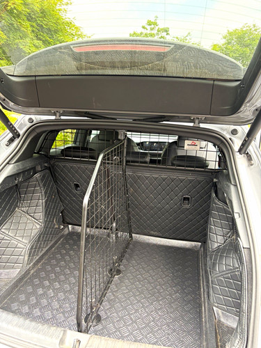 Audi guardsman dog car - dog,