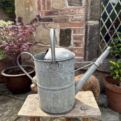 Vintage galvanized watering - vintage,