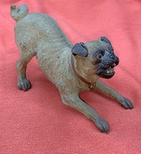 Franz Bergman Snarling Pug Cold Painted Bronze Figure Geschützt Stamped Antique