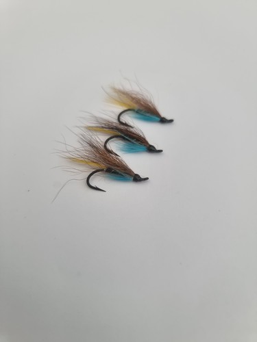 Salmon flies the - salmon, blue