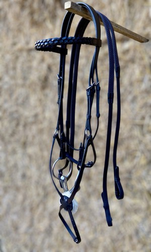 Grackle bridle with plaited - grackle,