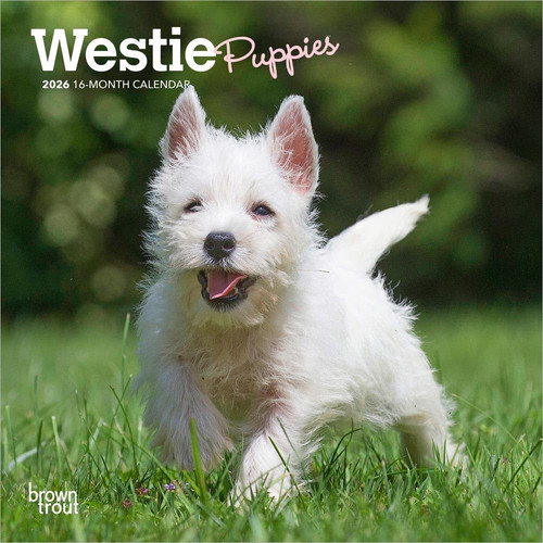 West highland white terrier - west,