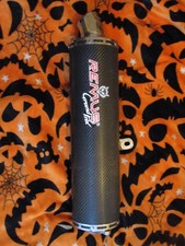 Remus grand prix carbon bolt