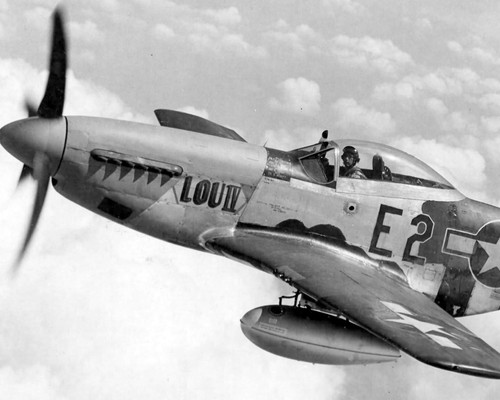 North american mustang - north,