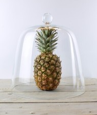 Handmade Clear Circular Cake