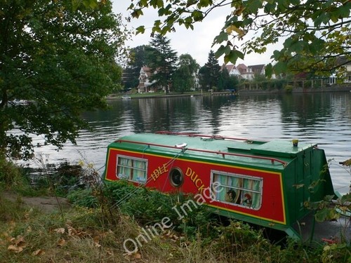 Photo 6x4 the idle duck - idle,