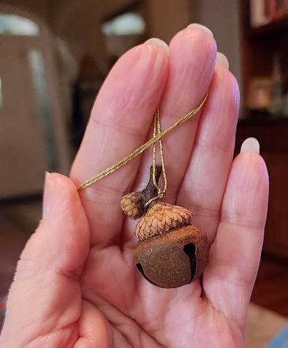 Rustic woodland acorn - acorn, bell