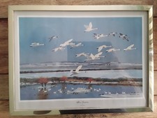 Sir Peter Scott after a snowstorm bewick swans and pintails signed print 1981