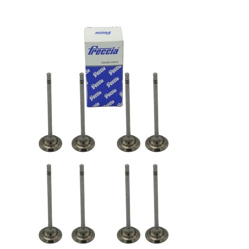 Inlet valve for 5 - valve, tsi