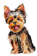 Yorkshire terrier dog art - terrier,
