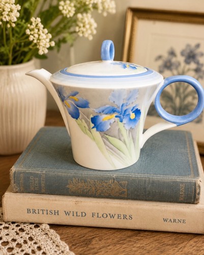 Shelley blue iris 12384 - shelley,