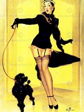 Woman Losing Skirt Poodle Dog Stockings Suspenders Art Poster Print Cc6656