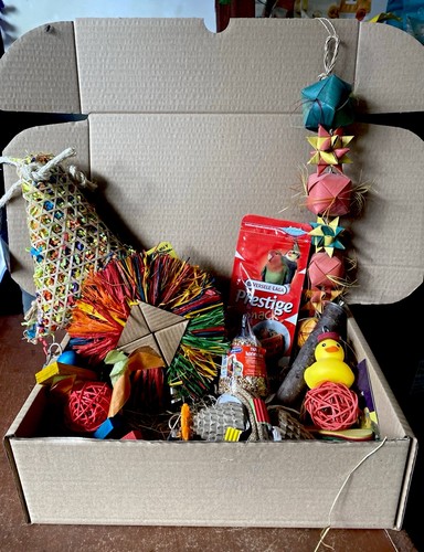 Small bird bundle - bundle,