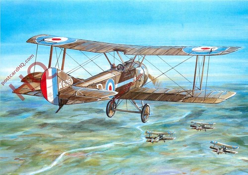Picture postcard sopwith pup - picture,