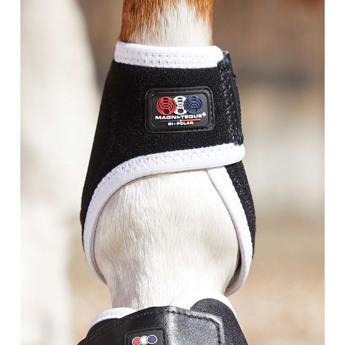 Premier equine magni teque - premier, magni-teque