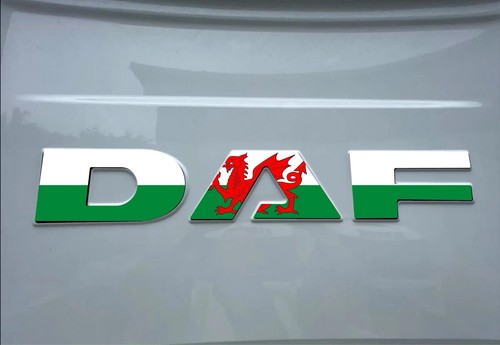Daf welsh flag rear - /,