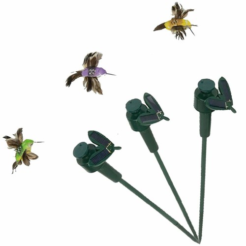 Hummingbird solar powered - 3x,