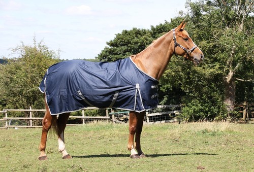 Turnout horse rug - rug, fill