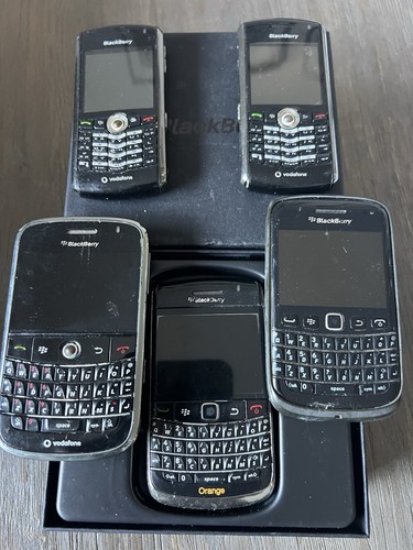 Assorted blackberries all - 5,