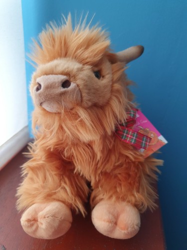 Hollie the highland cow - the,