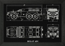 BULAT APC Framed Wall Art