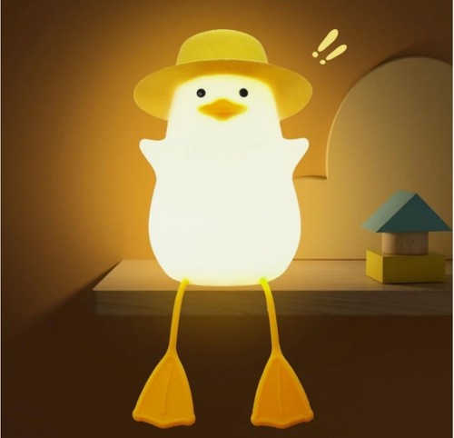 Duck light with hat - light, hat,