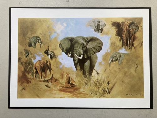 African wildlife print - wildlife, :
