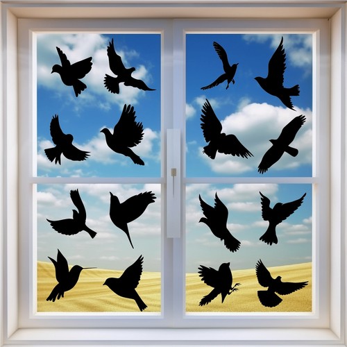 Bird decals prevent - decals,