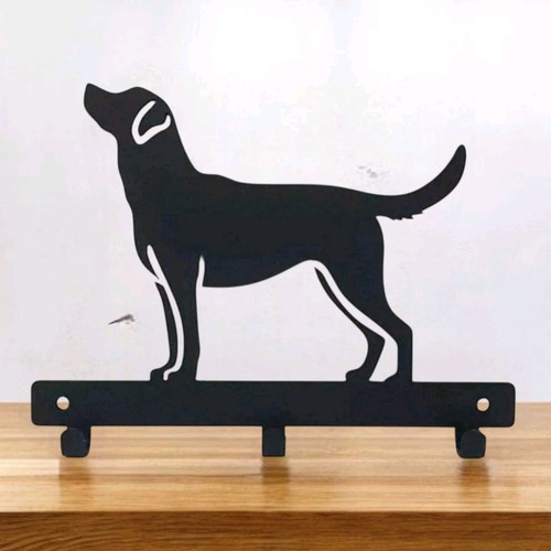 Labrador dog lead - dog, |