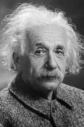 Albert einstein 4x6 photo - 4x6,