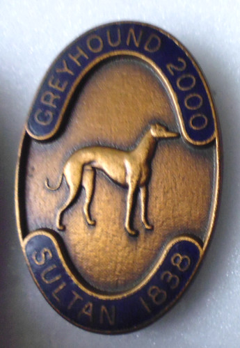 Greyhound 2000 enamel pin - enamel,
