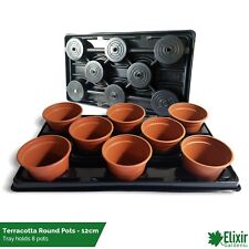 Square & Round Seedling &