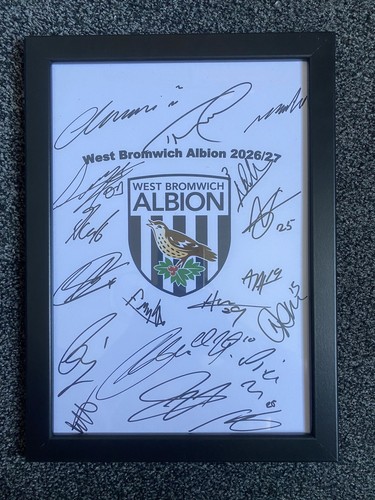 West bromwich albion club - albion, fc