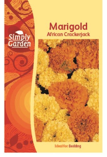Marigold african crackerjack - marigold,