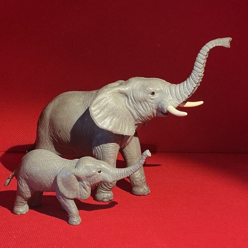 Vintage early learning centre - vintage,