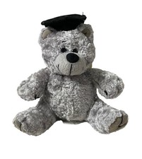 Graduation Teddy Bear School