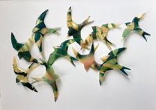 Flock swifts flying - of,