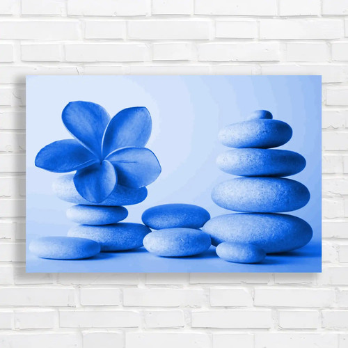 Frangipani beach pebbles - frangipani,