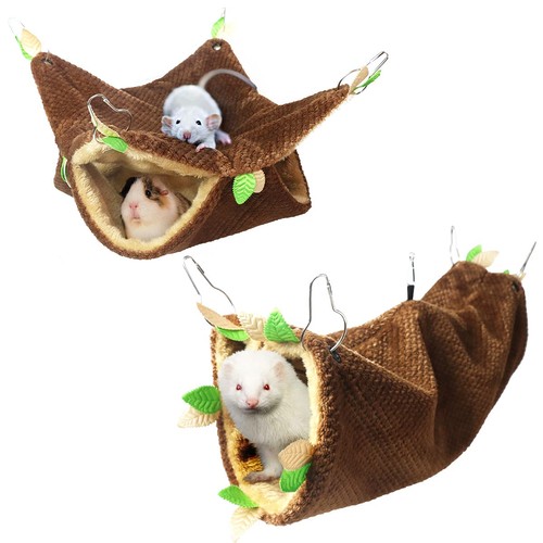 Guinea pig ferret - guinea, hammock