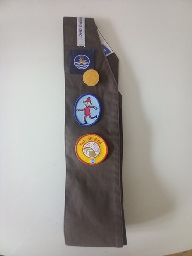Brownie sash with various