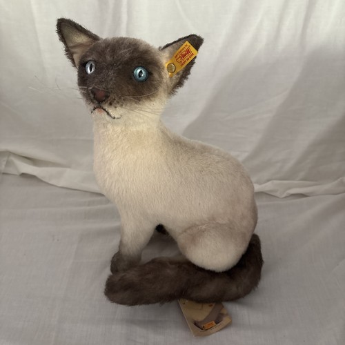 Steiff sulla balinese - balinese, cat