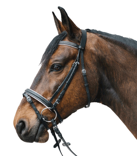 Waldhausen star diamond bridle - diamond,