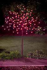 4/5/6Ft Christmas Light